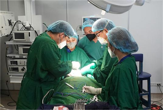 Equipe médica realizando vídeocirurgia